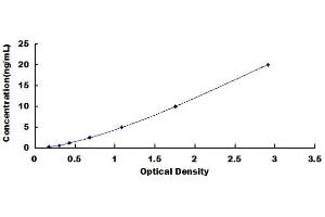 Typical standard curve (SMAD1 ELISA Kit)