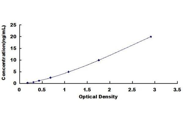 SMAD1 ELISA Kit