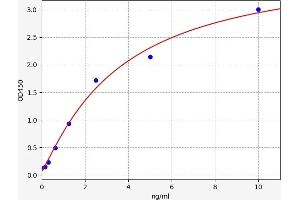 CAMK2D ELISA Kit