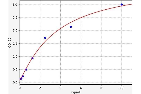 CAMK2D ELISA Kit