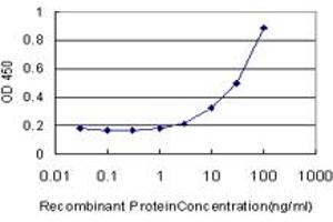 Detection limit for recombinant GST tagged CAMK2A is approximately 3ng/ml as a capture antibody. (CAMK2A antibody  (AA 305-410))