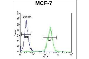 DNAJA1 Antibody (Center) (ABIN652030 and ABIN2840506) flow cytometric analysis of MCF-7 cells (right histogram) compared to a negative control cell (left histogram). (DNAJA1 antibody  (AA 294-323))