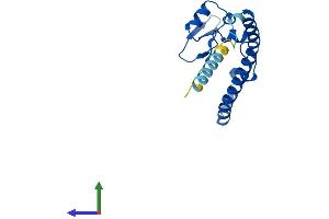 Protein Structure (PS) image for Ribosomal L24 Domain Containing 1 (RSL24D1) (AA 1-163) protein (His tag) (ABIN7551465)
