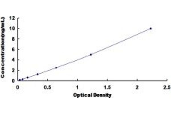 LIM Domain Binding 1 Protein ELISA Kit