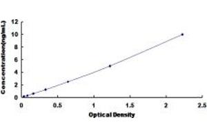 Typical standard curve (LIM Domain Binding 1 Protein ELISA Kit)