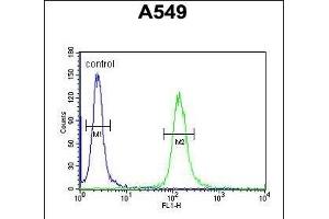 LOH12CR1 Antibody (C-term) (ABIN651991 and ABIN2840485) flow cytometric analysis of A549 cells (right histogram) compared to a negative control cell (left histogram). (LOH12CR1 antibody  (C-Term))