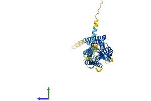 AlphaFold protein structure predicition of Human Recombinant GPR85 Protein, UniprotID P60893 (GPR85 Protein (AA 1-370) (His tag))