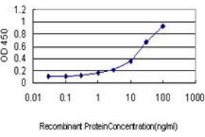 Detection limit for recombinant GST tagged SSR1 is approximately 1ng/ml as a capture antibody. (SSR1 antibody  (AA 33-286))