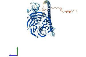 Protein Structure (PS) image for TNF Receptor-Associated Factor 7 (TRAF7) (AA 1-594) protein (His tag) (ABIN7560214)