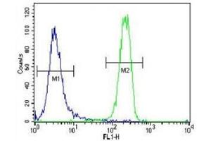 Flow Cytometry (FACS) image for anti-Fibroblast Growth Factor Receptor 2 (FGFR2) (AA 794-821) antibody (ABIN3030952)