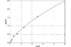 Glutamate-Cysteine Ligase, Modifier Subunit (GCLM) ELISA Kit