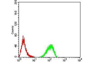 Flow Cytometry (FACS) image for anti-Transcription Termination Factor, RNA Polymerase I (TTF1) (AA 1-150) antibody (ABIN5542340)
