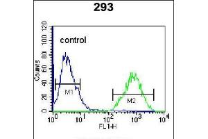 Flow cytometric analysis of 293 cells (right histogram) compared to a negative control cell (left histogram). (TFAP4 antibody  (AA 125-154))
