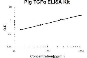 Pig TGF alpha PicoKine ELISA Kit standard curve