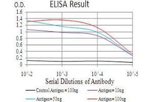 Black line: Control Antigen (100 ng), Purple line: Antigen(10 ng), Blue line: Antigen (50 ng), Red line: Antigen (100 ng), (TARDBP antibody  (AA 126-260))