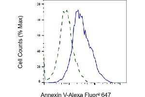 Validation of Annexin V knockdown using flow cytometry.