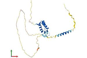 Protein Structure (PS) image for TGFB-Induced Factor Homeobox 2 (TGIF2) (AA 1-237) protein (His tag) (ABIN7559093)