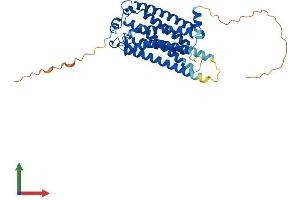 Protein Structure (PS) image for Lysophosphatidic Acid Receptor 1 (LPAR1) (AA 1-364) protein (His tag) (ABIN7554417)