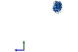 AlphaFold protein structure predicition of Mouse Recombinant Fhl5 Protein, UniprotID Q9WTX7