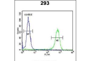 Flow cytometric analysis of 293 cells (right histogram) compared to a negative control cell (left histogram). (JHDM1D antibody  (AA 290-316))