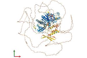 AlphaFold protein structure predicition of Mouse Recombinant Fnip1 Protein, UniprotID Q68FD7