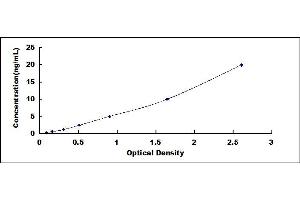 Typical standard curve (STAT2 ELISA Kit)