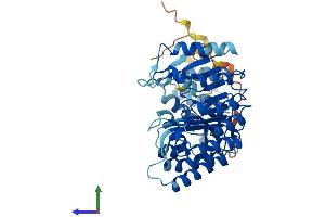 AlphaFold protein structure predicition of Human Recombinant PRAMEF5 Protein, UniprotID Q5TYX0 (PRAMEF5 Protein (AA 1-476) (His tag))