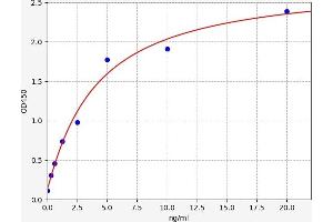 Typical standard curve (MX1 ELISA Kit)