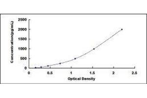 ELISA image for Eukaryotic Translation Elongation Factor 1 gamma (EEF1G) ELISA Kit (ABIN420639)