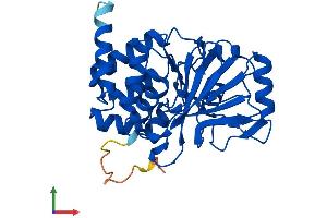 AlphaFold protein structure predicition of Human Recombinant PPP2CA Protein, UniprotID P67775