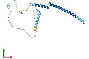 Protein Structure (PS) image for PDGFA Associated Protein 1 (PDAP1) (AA 1-181) protein (His tag) (ABIN7557201)
