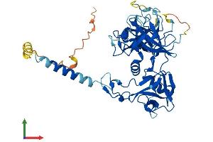 Protein Structure (PS) image for Transmembrane Protease, Serine 3 (TMPRSS3) (AA 1-454) protein (His tag) (ABIN7544658)