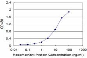 Detection limit for recombinant GST tagged CRYAB is approximately 0. (CRYAB antibody  (AA 1-175))