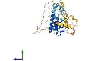 AlphaFold protein structure predicition of Human Recombinant ACBD4 Protein, UniprotID Q8NC06