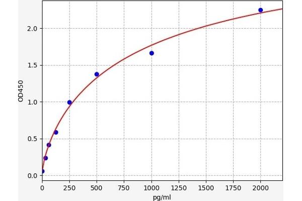 SERP1 ELISA Kit