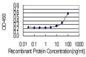 Detection limit for recombinant GST tagged AKR1C4 is 3 ng/ml as a capture antibody. (AKR1C4 antibody  (AA 1-323))