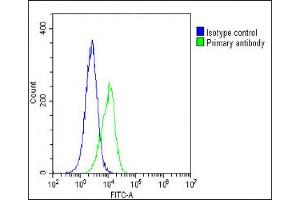 Overlay histogram showing A549 cells stained with (ABIN6243941 and ABIN6578694)(green line). (PCSK1 antibody  (AA 682-715))