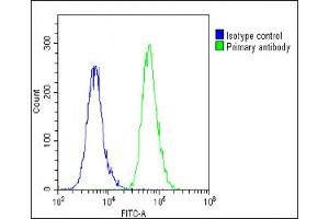 Overlay histogram showing A549 cells stained with (ABIN6243511 and ABIN6578850)(green line). (BCL2L10 antibody  (AA 89-123))