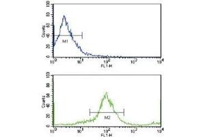 Flow cytometric analysis of MCF-7 cells using HER2 / ErbB2 antibody (bottom histogram) compared to a negative control cell (top histogram). (ErbB2/Her2 antibody  (AA 21-52))