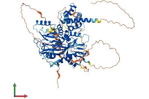 AlphaFold protein structure predicition of Mouse Recombinant Ttll11 Protein, UniprotID A4Q9F4