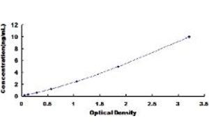 Typical standard curve (Annexin V ELISA Kit)