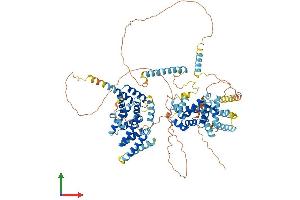 AlphaFold protein structure predicition of Mouse Recombinant Nom1 Protein, UniprotID Q3UFM5 (NOM1 Protein (AA 1-854) (His tag))