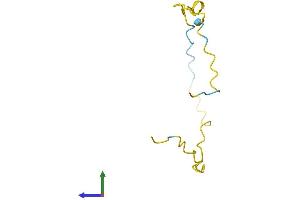 Protein Structure (PS) image for Chromosome 5 Open Reading Frame 13 (C5orf13) (AA 1-68) protein (Fc Tag) (ABIN7556913)