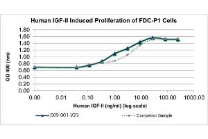 SDS-PAGE of Human Insulin-like Growth Factor II Recombinant Protein Bioactivity of Human Insulin-like Growth Factor II Recombinant Protein. (IGF2 Protein)
