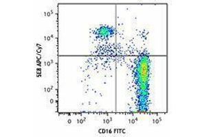 Flow Cytometry (FACS) image for anti-Chemokine (C-C Motif) Receptor 3 (CCR3) antibody (APC-Cy7) (ABIN2660558) (CCR3 antibody  (APC-Cy7))