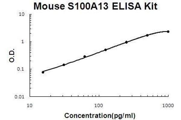 S100A13 ELISA Kit