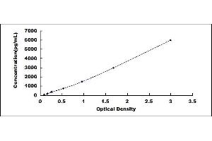 Typical standard curve (MASP1 ELISA Kit)