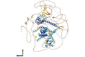 Protein Structure (PS) image for Nuclear Factor Related To KappaB Binding Protein (NFRKB) (AA 1-1296) protein (His tag) (ABIN7564138)