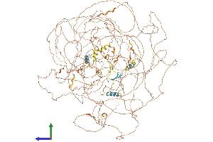 AlphaFold protein structure predicition of Human Recombinant AHDC1 Protein, UniprotID Q5TGY3 (AHDC1 Protein (AA 1-1603) (His tag))