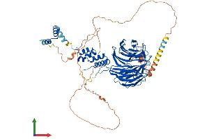 AlphaFold protein structure predicition of Human Recombinant FBXW7 Protein, UniprotID Q969H0 (FBXW7 Protein (AA 1-707) (His tag))